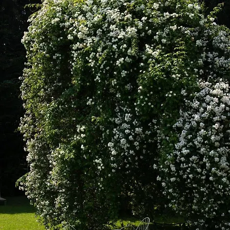 Hindenburg Casa de Campo