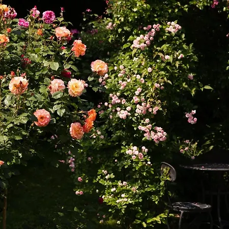 Hindenburg Casa de Campo Bad Gleichenberg