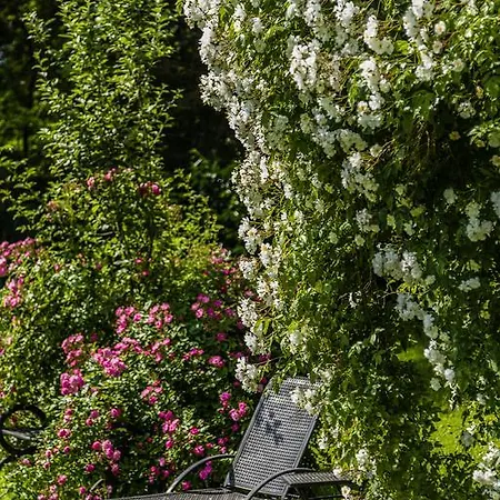 Hindenburg Bad Gleichenberg