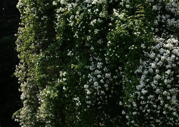 Hindenburg Country house