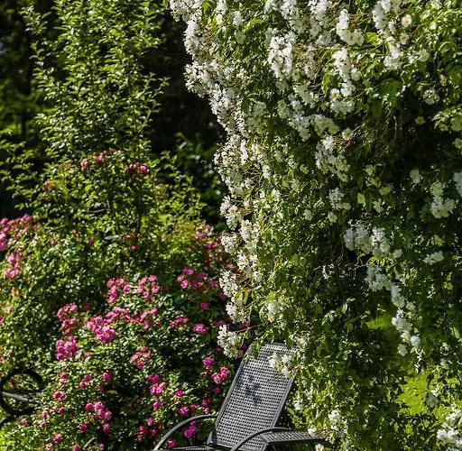 Hindenburg Bad Gleichenberg